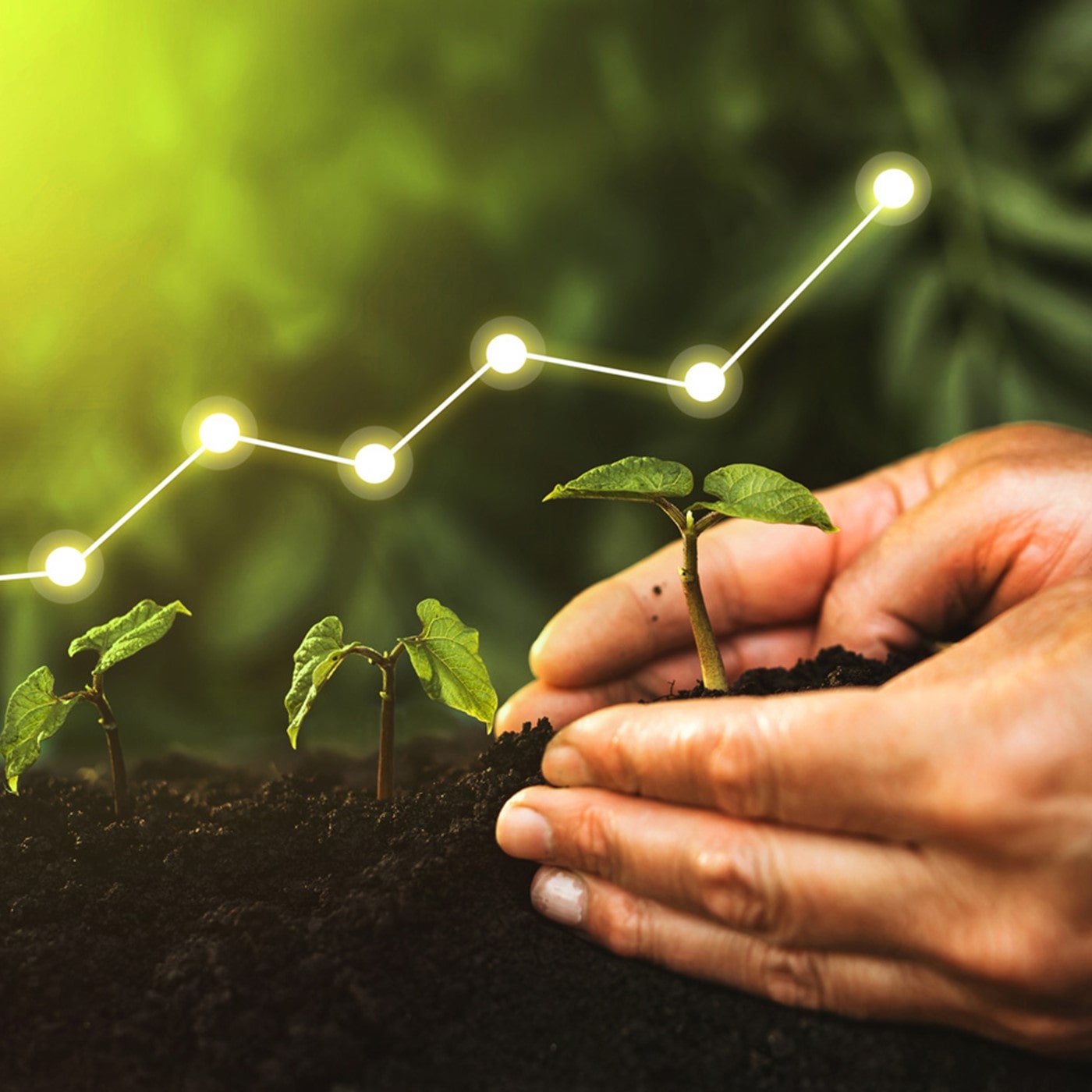 A close-up of a hand holding soil with sprouting green plants, overlaid with a glowing graph line, symbolizing growth and progress in sustainability and agriculture.