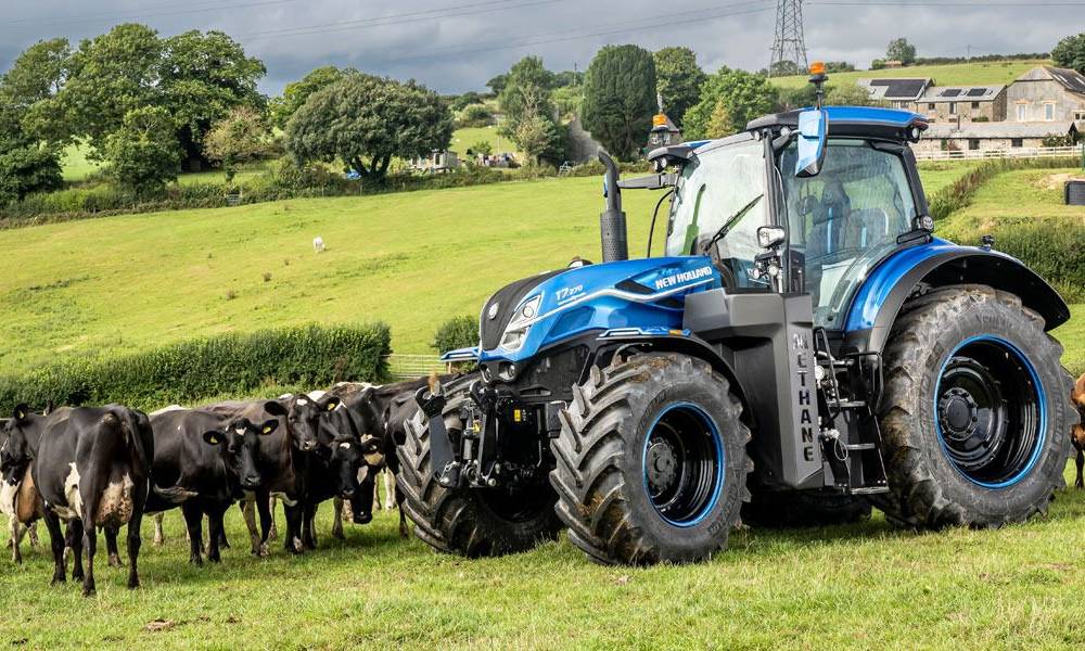A New Holland blue tractor in a green field with a herd of black cows lined up beside it, set against a backdrop of trees and a farmhouse under a partly cloudy sky. This image captures the essence of agricultural life, showcasing modern farming equipment alongside livestock.